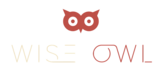 wiseowlmanagement.com